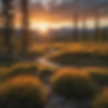 Sunset Casting a Golden Glow on Bitterroot Mountains