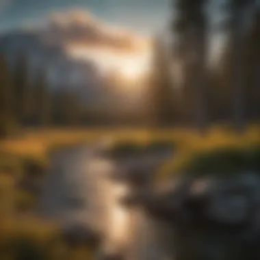 Sunset Casting a Golden Glow on the Rockies