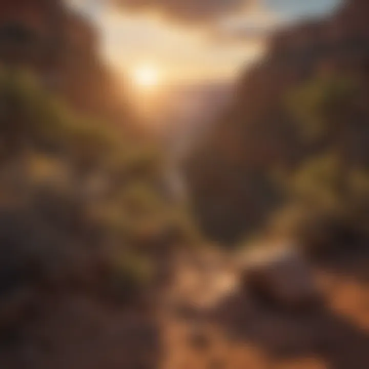 Golden Sunset Embracing the Canyon Sunset Over Grand Canyon