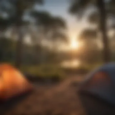 Sunset over Ocala FL campsite