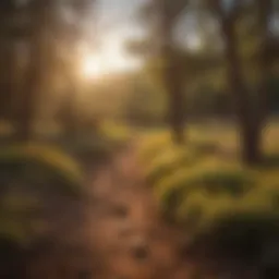 Sunset Over Santa Fe Hiking Trail