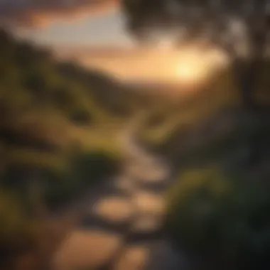 Sunset Overlook Path in San Antonio