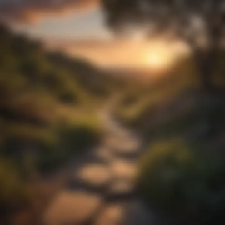 Sunset Overlook Path in San Antonio