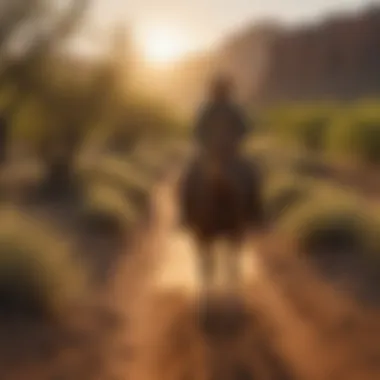 Sunset ride through the desert