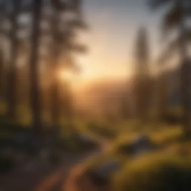 Sunset Over Scenic Landscape of Secoya National Park