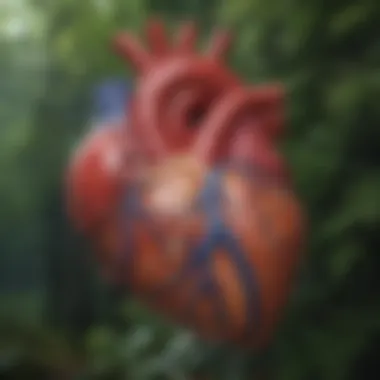 Diagram illustrating the anatomy of the heart with a focus on murmurs