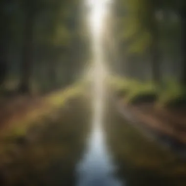 Environmentally Conscious Crop Management Sustainable Farming Practices with Fertigation