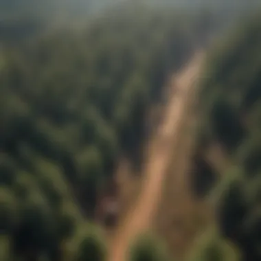 Aerial view of a sustainable forestry operation in action