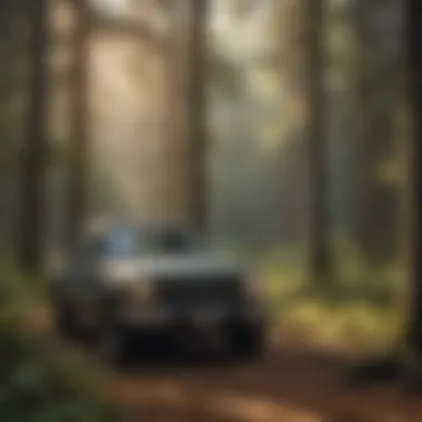 Sustainable forestry practices in American forest