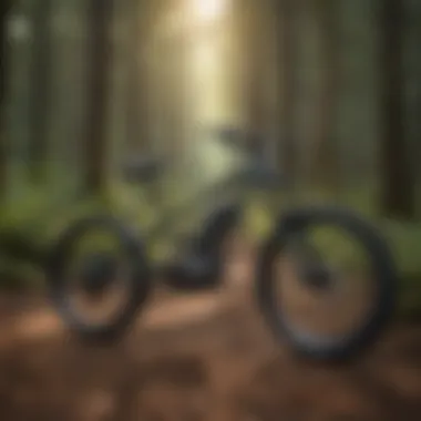 Sustainable Practices Sustainable Practices by Edison Bikes