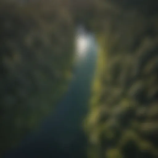 Stunning aerial view of Swan Lake surrounded by lush forests