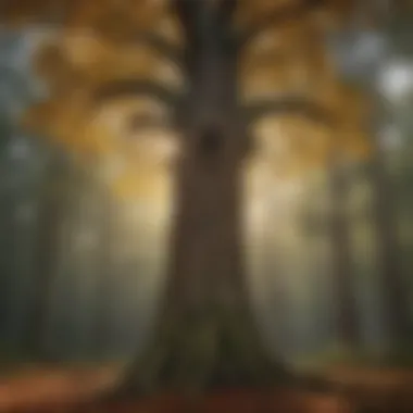 Symbolic Tree of Trust Symbolic Tree of Trust