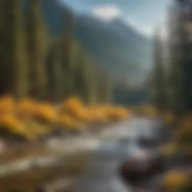 Majestic Mountain Backdrop Majestic Mountain Backdrop