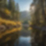Tranquil Reflections on the Water