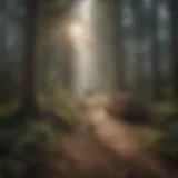 Navigating the Vast Landscape of Temporary Work Temporary Work Landscape