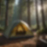 Modern tent pole design for Coleman River Gorge 6 Person Tent
