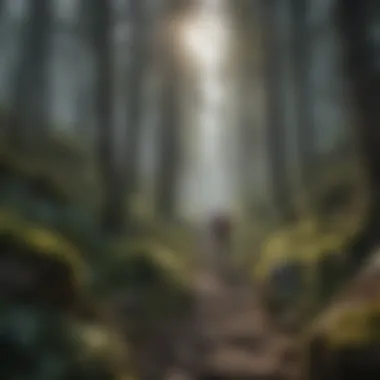 A climber contemplating a path on a challenging route