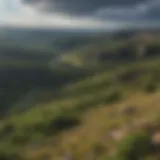 Stunning panoramic view of the Black Hills landscape showcasing diverse flora and geological formations