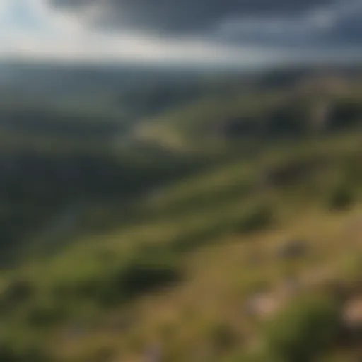 Stunning panoramic view of the Black Hills landscape showcasing diverse flora and geological formations