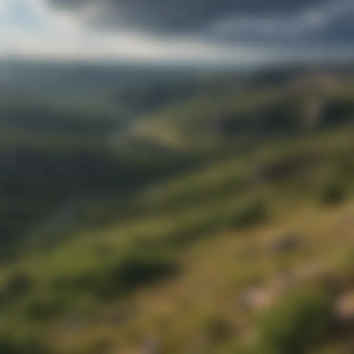 A Panoramic Perspective of the Black Hills Stunning panoramic view of the Black Hills landscape showcasing diverse flora and geological formations