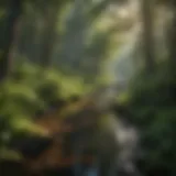 A serene view of Bear Creek's lush surroundings showcasing diverse flora.