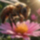 Close-up of a bee collecting nectar from a vibrant flower