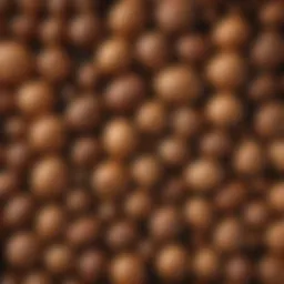 Close-up of whole nutmeg and grated nutmeg showcasing its texture and color