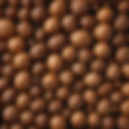 Close-up of whole nutmeg and grated nutmeg showcasing its texture and color