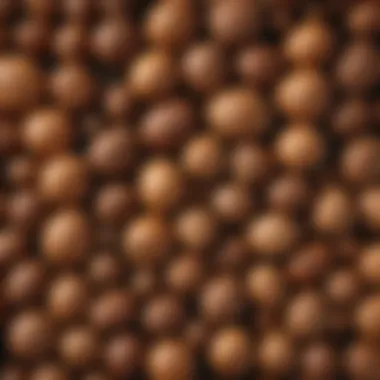 Complex Textures of Nutmeg Close-up of whole nutmeg and grated nutmeg showcasing its texture and color