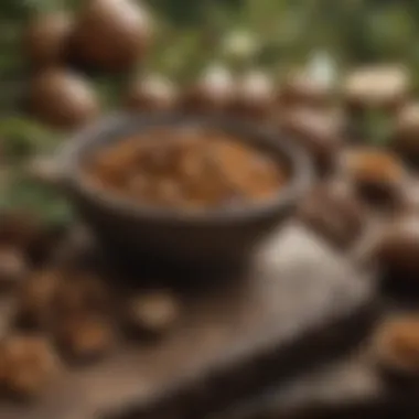 Nutmeg's Culinary Applications A variety of dishes enhanced by nutmeg, presenting its culinary versatility