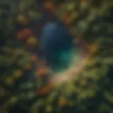 Stunning view of Earth from space showcasing its vibrant ecosystems