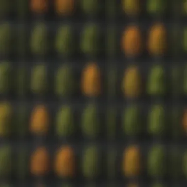 A close-up of diverse tree species affected by climate fluctuations