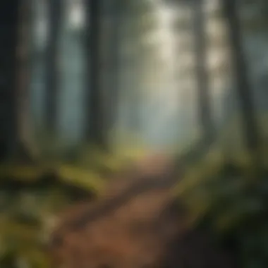 Infographic showing the impact of pests and diseases on forest health