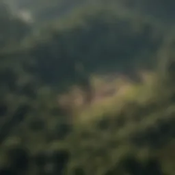 Aerial view of deforested land showing stark contrasts between green forests and barren areas.