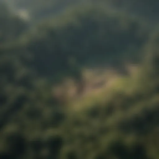 Aerial view of deforested land showing stark contrasts between green forests and barren areas.
