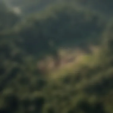 Aerial Perspective of Deforestation and Its Effects Aerial view of deforested land showing stark contrasts between green forests and barren areas.