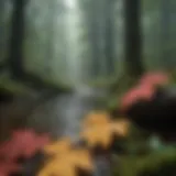 A lush forest bathed in rain, showcasing vibrant foliage and water droplets on leaves.