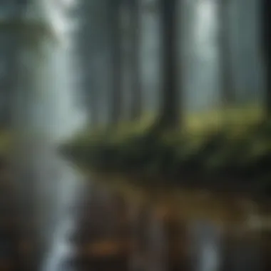 The Tranquil Symphony of Rain in the Forest A serene forest scene with raindrops falling on a calm pond.