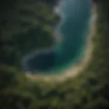 A stunning aerial view showcasing the contrast between lush forests and expansive ocean waters.