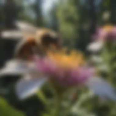 A vibrant bee pollinating a flower, illustrating the symbiotic relationship in nature