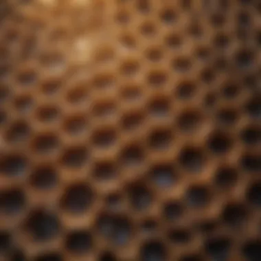 A close-up view of a honeycomb showcasing its intricate hexagonal structure