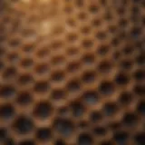 Intricate Hexagonal Structure of Honeycomb A close-up view of a honeycomb showcasing its intricate hexagonal structure