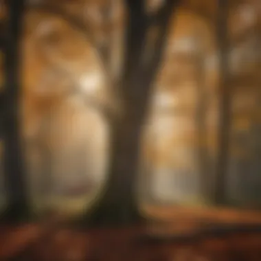 Seasonal Considerations for Tree Care A seasonal landscape with trees indicating the best time for trimming