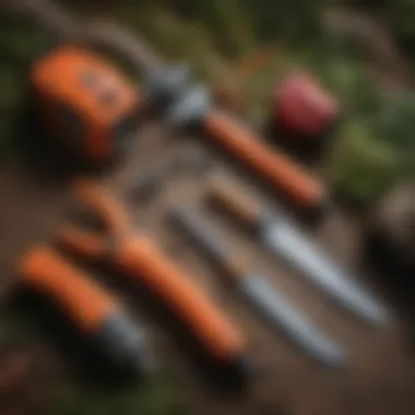 Tools for Effective Tree Trimming Essential tree trimming tools laid out