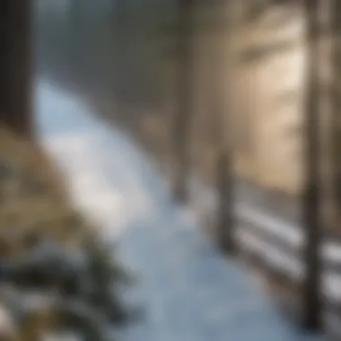 Snow fence contributing to ecosystem stability in forestry