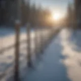 Snow fence in a snowy landscape showcasing its protective function