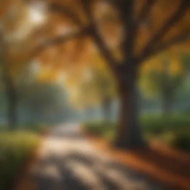 A thriving urban park showcasing diverse tree species.