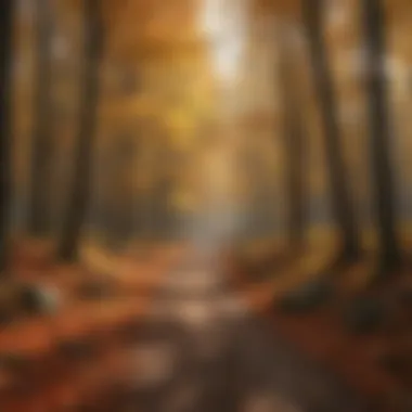 A forest scene with trees in different stages of leaf color change.