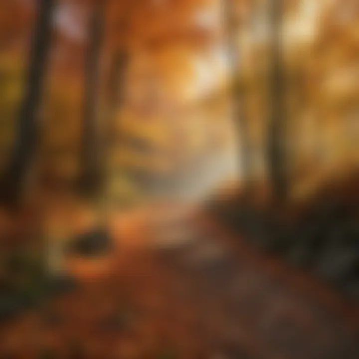 Vivid autumn leaves showcasing various colors of fall.