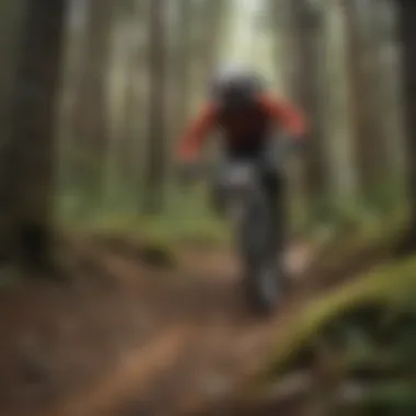 Thrill of the Descent